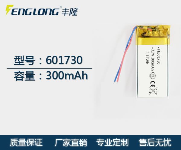 FL 601730