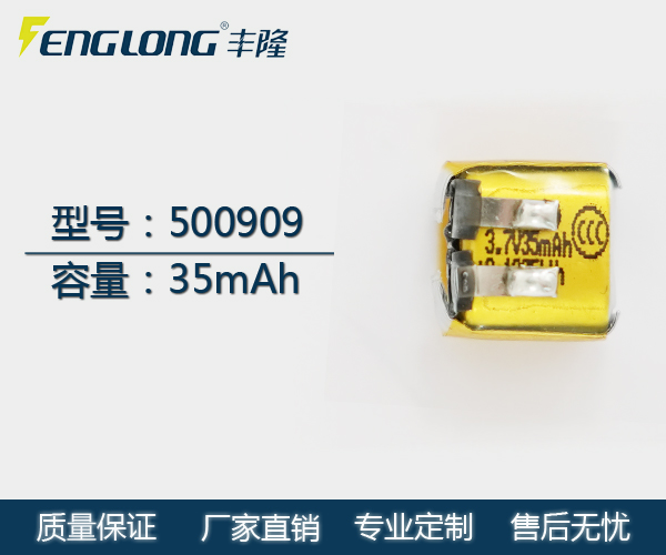 FL 500909